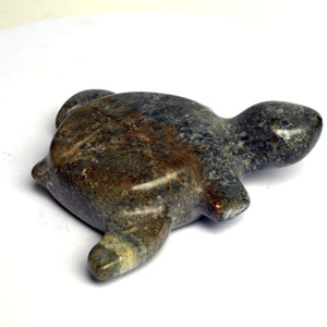 Tortoise
